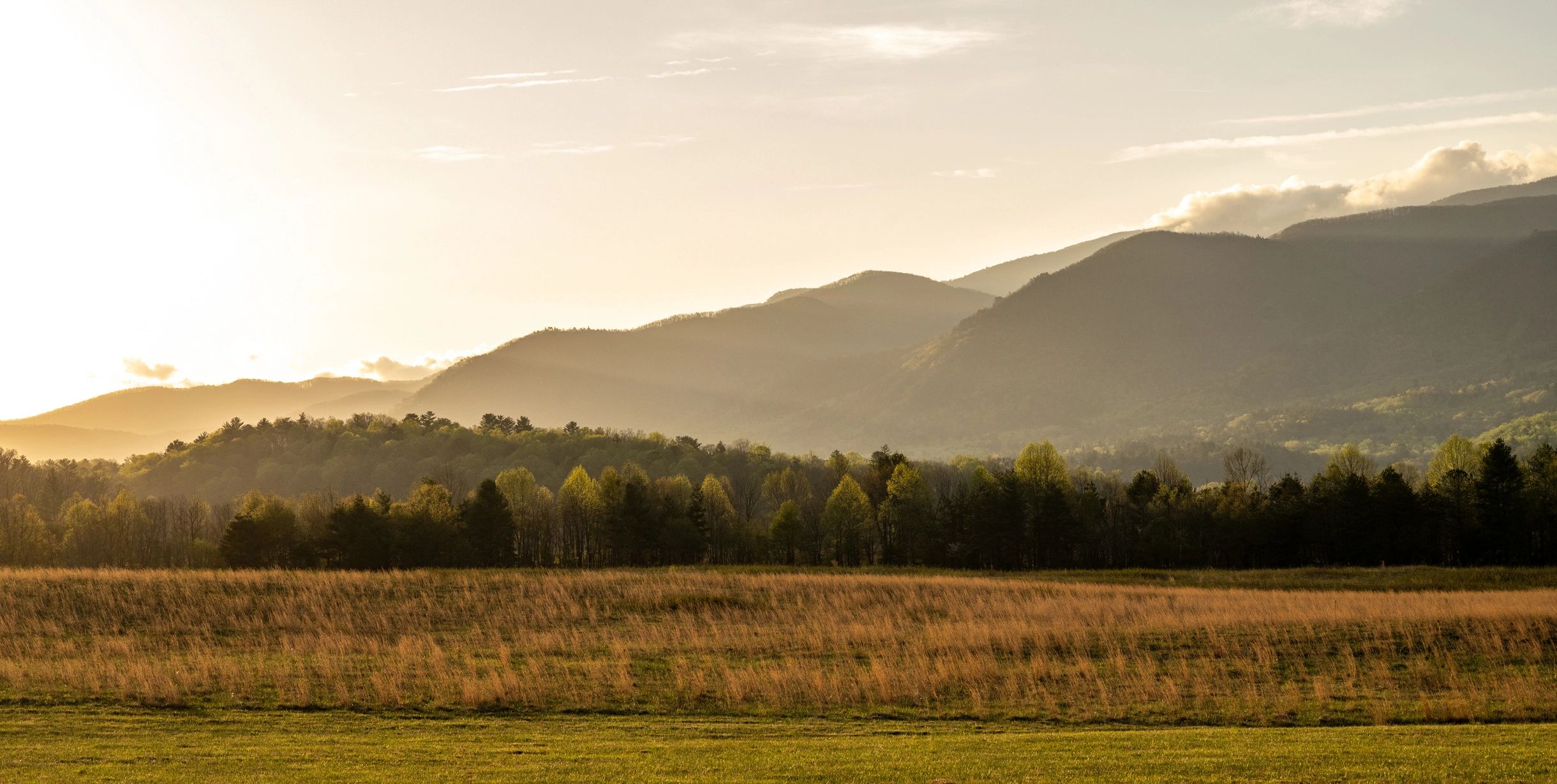 Wide view of a peaceful Tennessee farm landscape