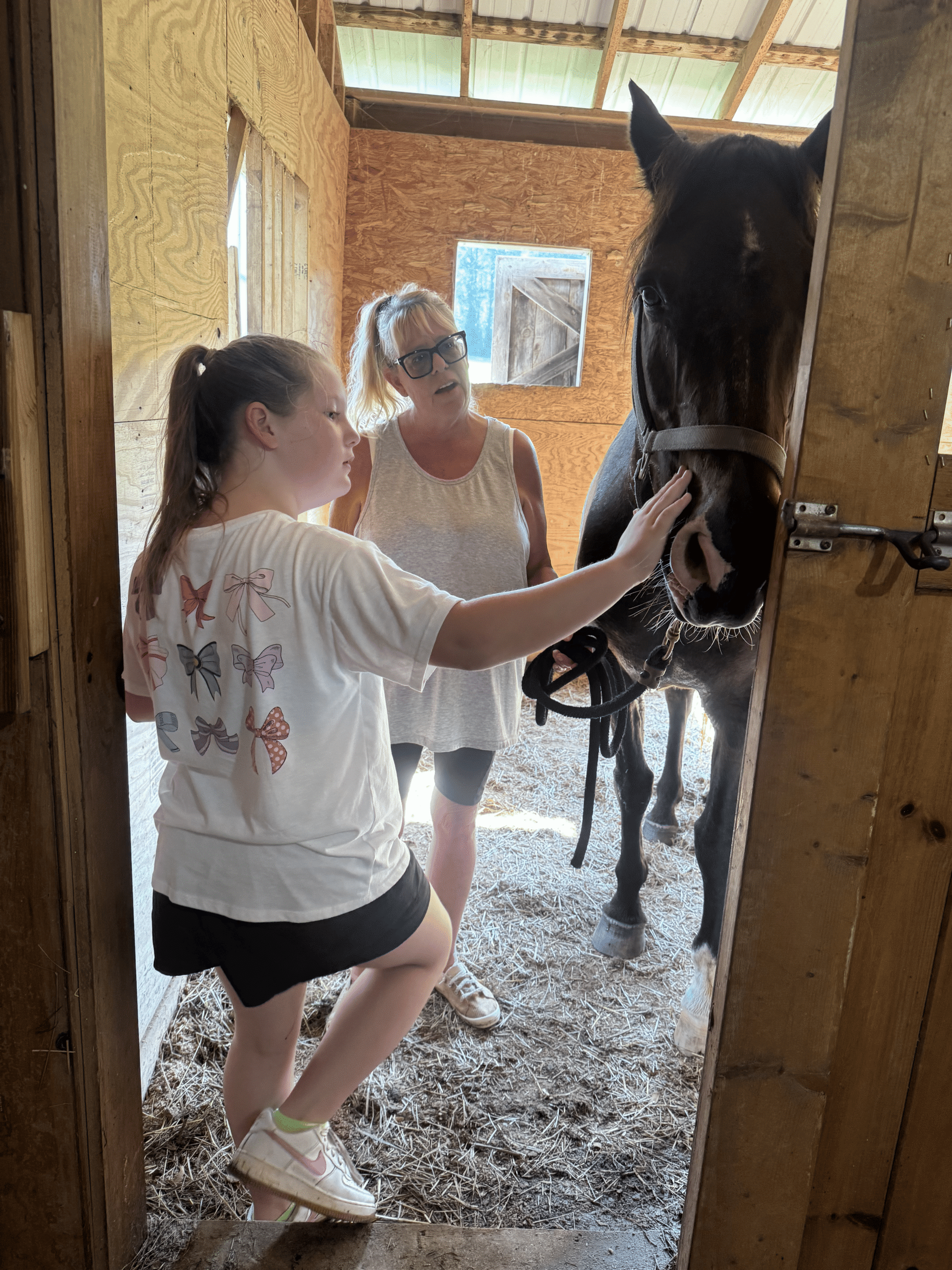 Participant reaching out to connect with a horse inside a barn stall at Saving Grace Healing With Horses