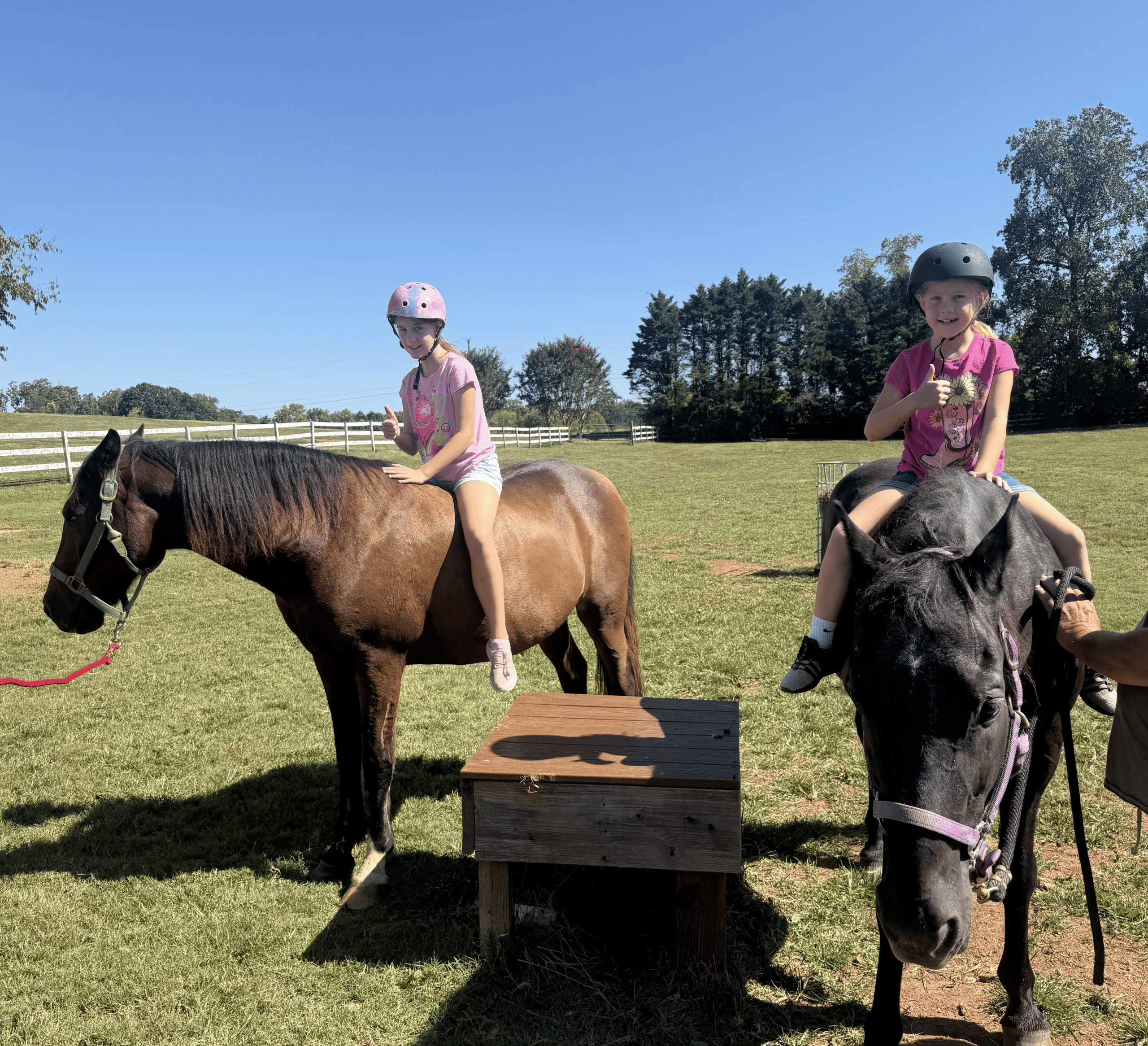 Two children wearing helmets riding horses in a grassy field at Saving Grace Healing With Horses